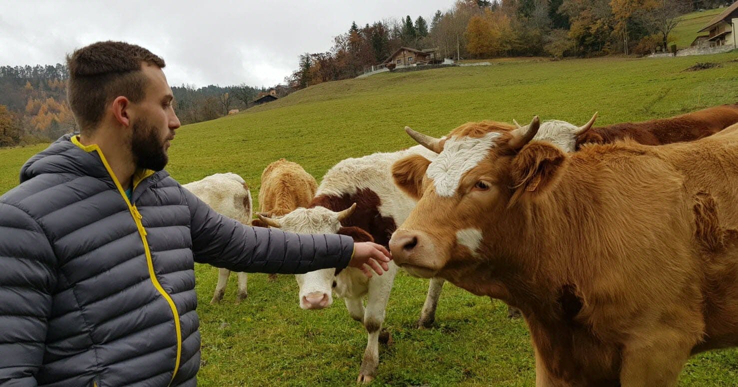 S’installer en agriculture : les grandes étapes à connaître