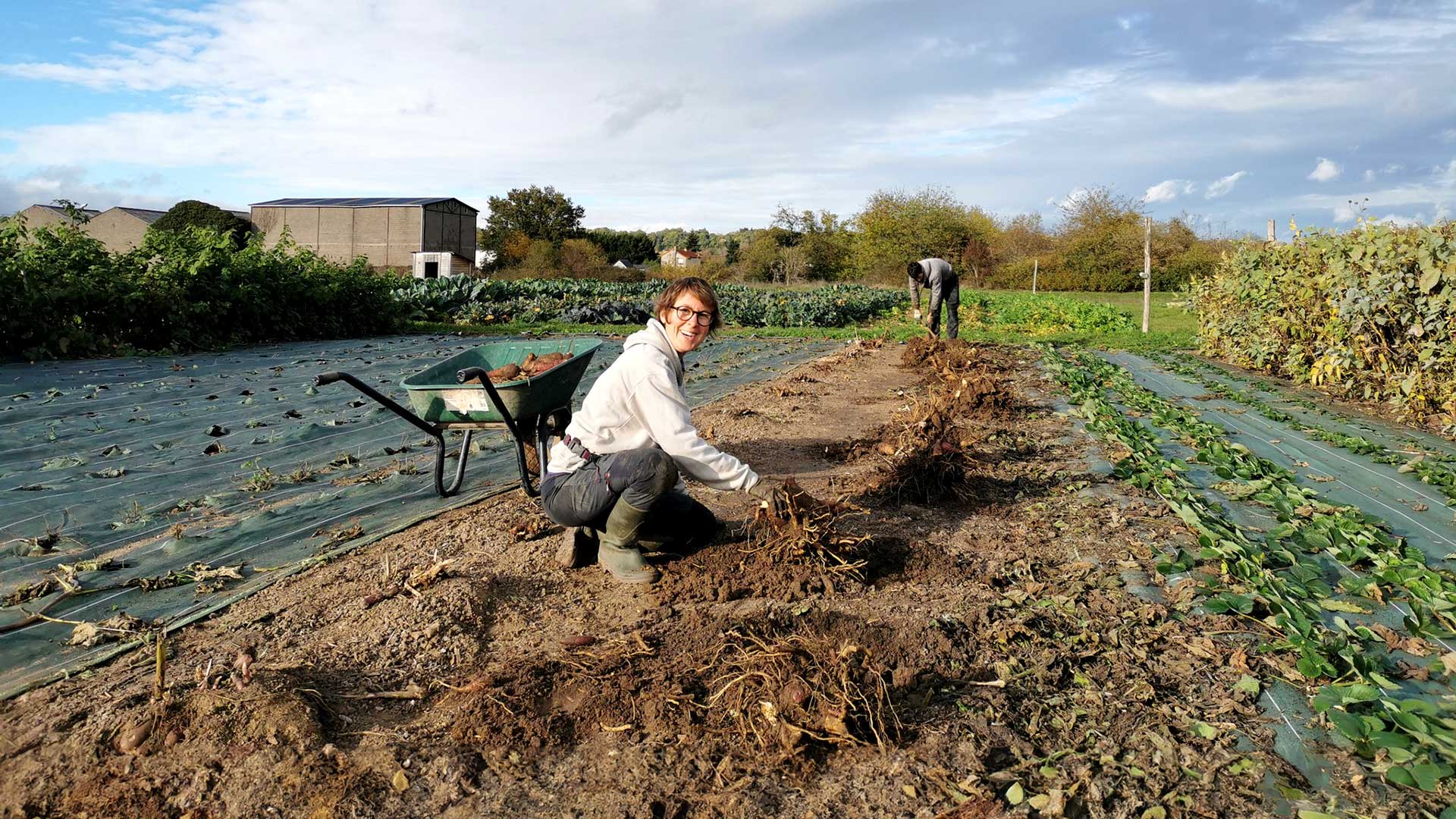 Travailler en agriculture sans diplôme quels postes sont accessibles