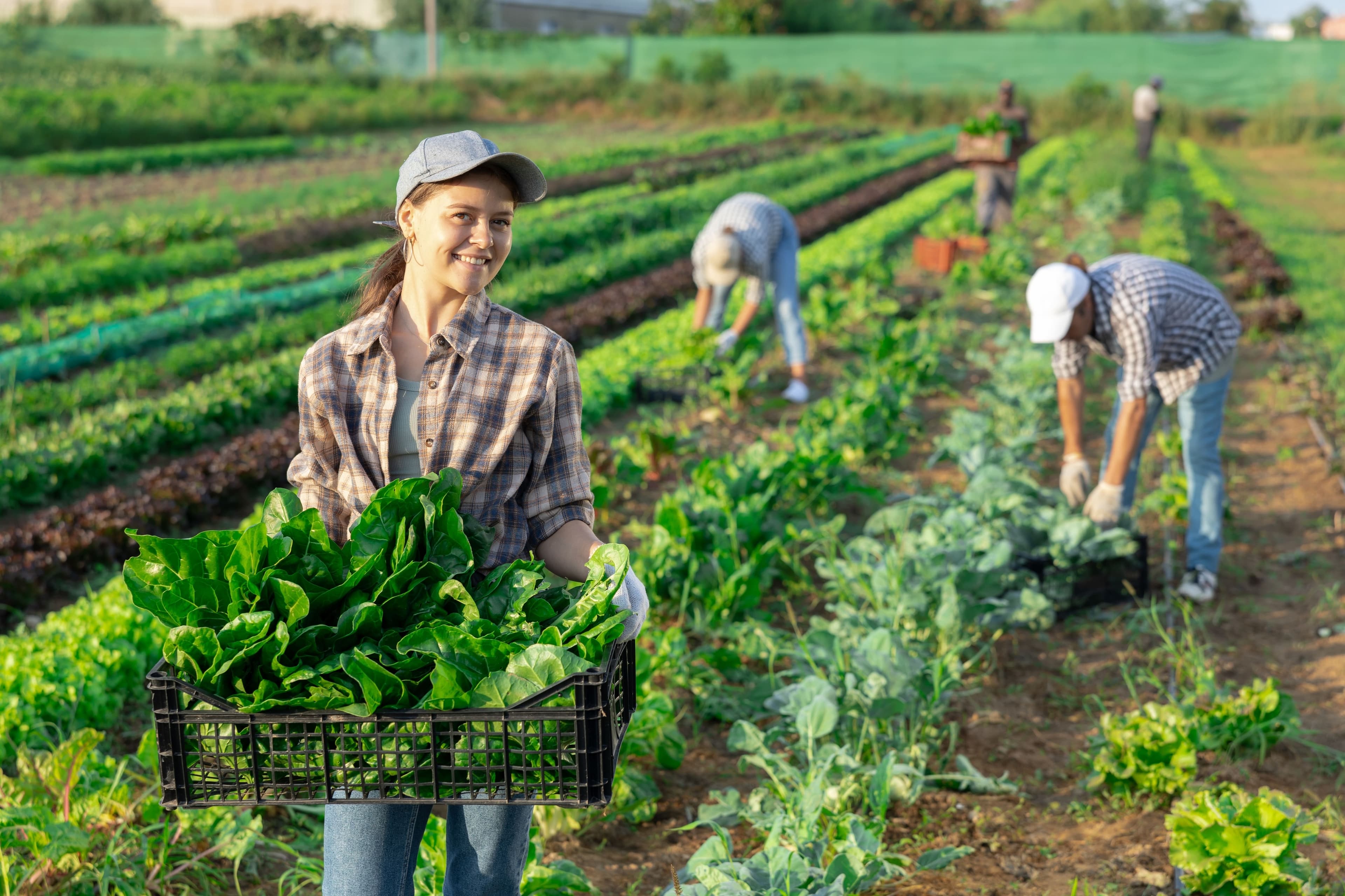Emploi agricole autour de moi comment trouver un poste rapidement