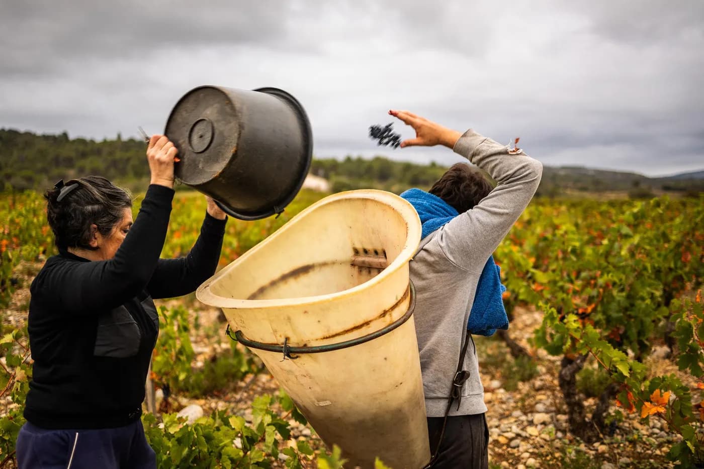 Sites d’emploi agricole : 4 plateformes à connaître (et comment choisir selon ton besoin